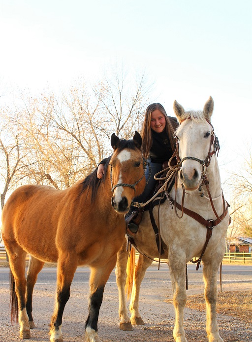 Our Bozeman Team Montana Equine